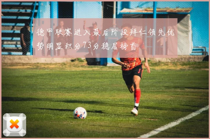 德甲联赛进入最后阶段拜仁领先优势明显积分73分稳居榜首